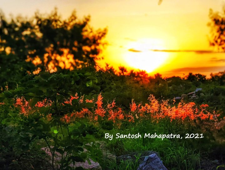 International LET-IN 2025 Conference will be jointly hosted by Tarsus University, Türkiye