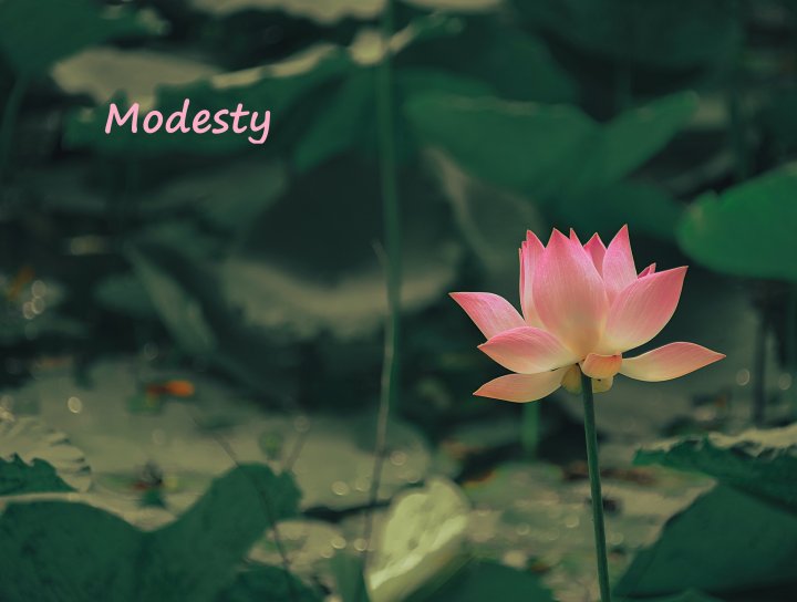 LET-IN© is a patented learning organization established for R&D