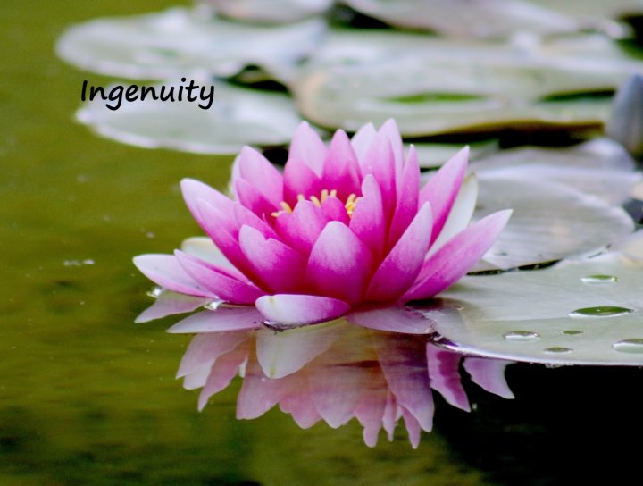 LET-IN Journal© is on the way