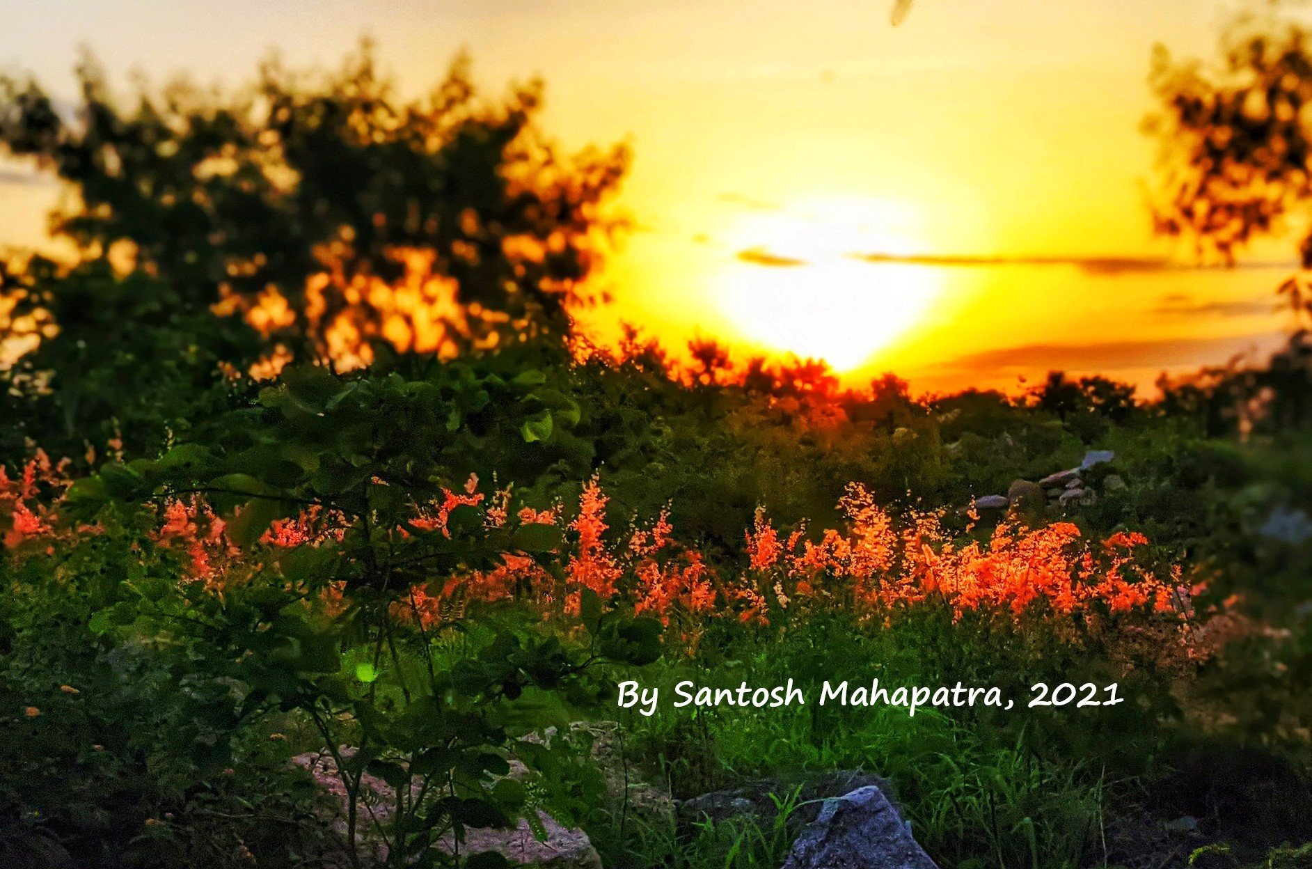 International LET-IN 2025 Conference will be jointly hosted by Tarsus University, Türkiye